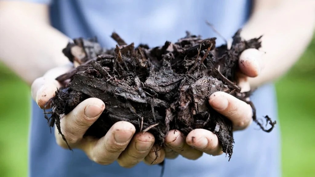 How Much Does a Yard of Mulch Weigh? Comprehensive Guide