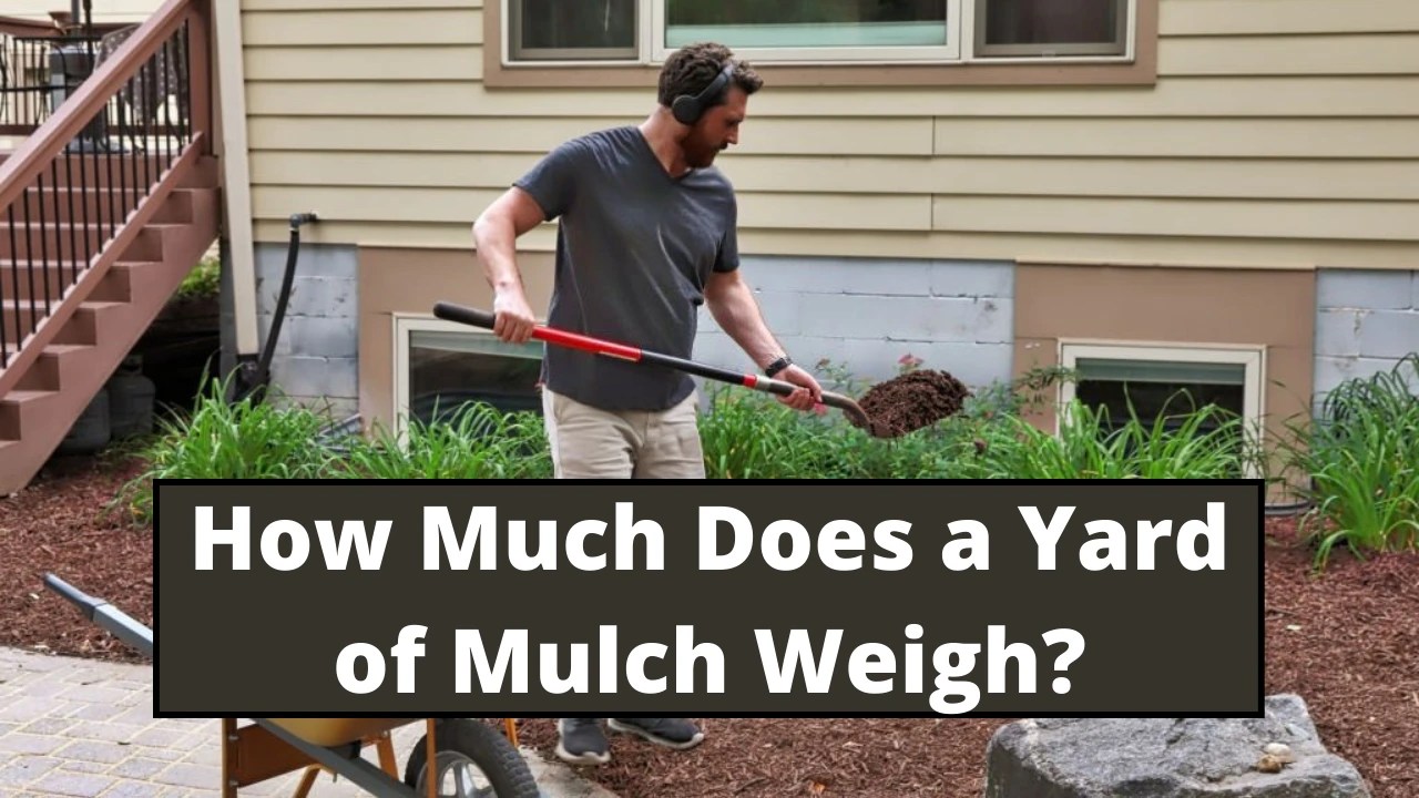 How Much Does a Yard of Mulch Weigh? Comprehensive Guide