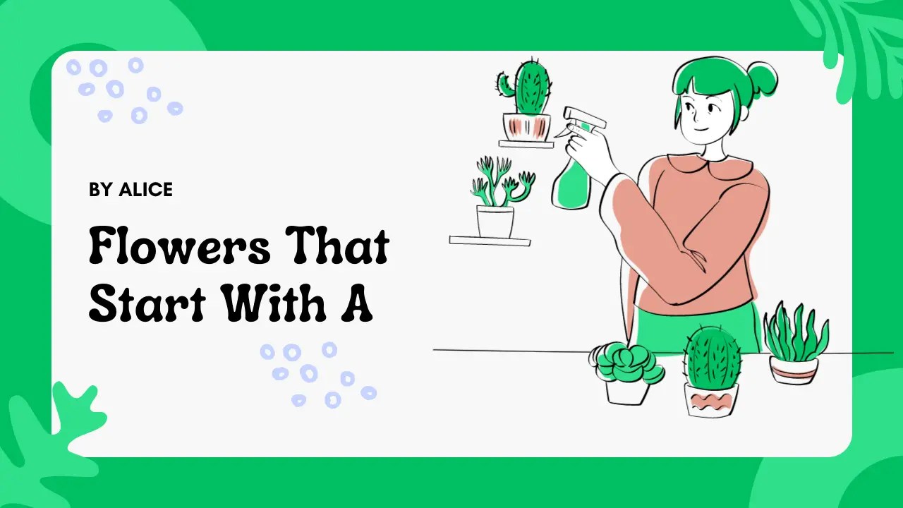 21+ Beautiful Flowers That Starts With A