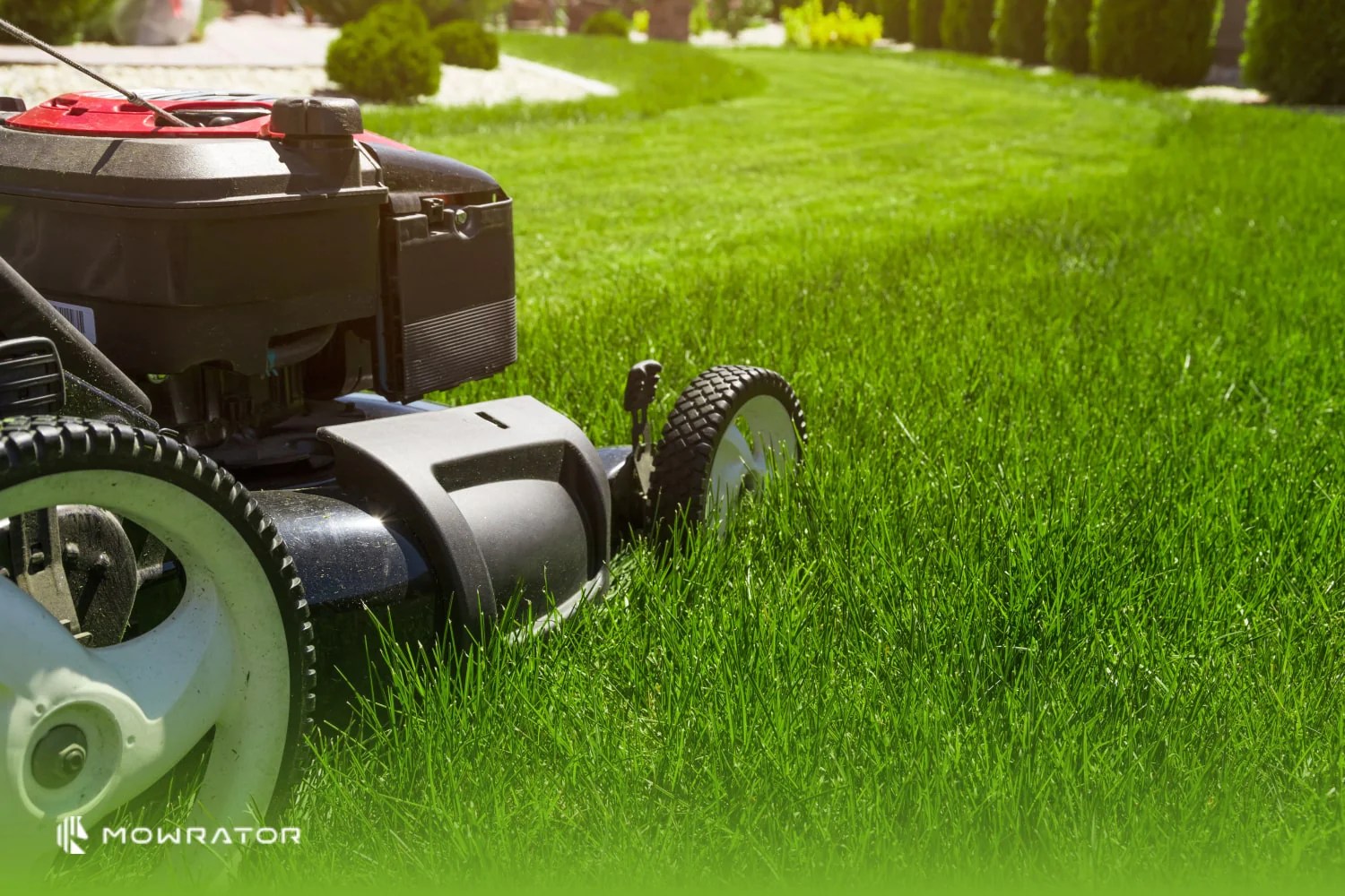 Why Won't My Lawn Mower Start? MOWRATOR