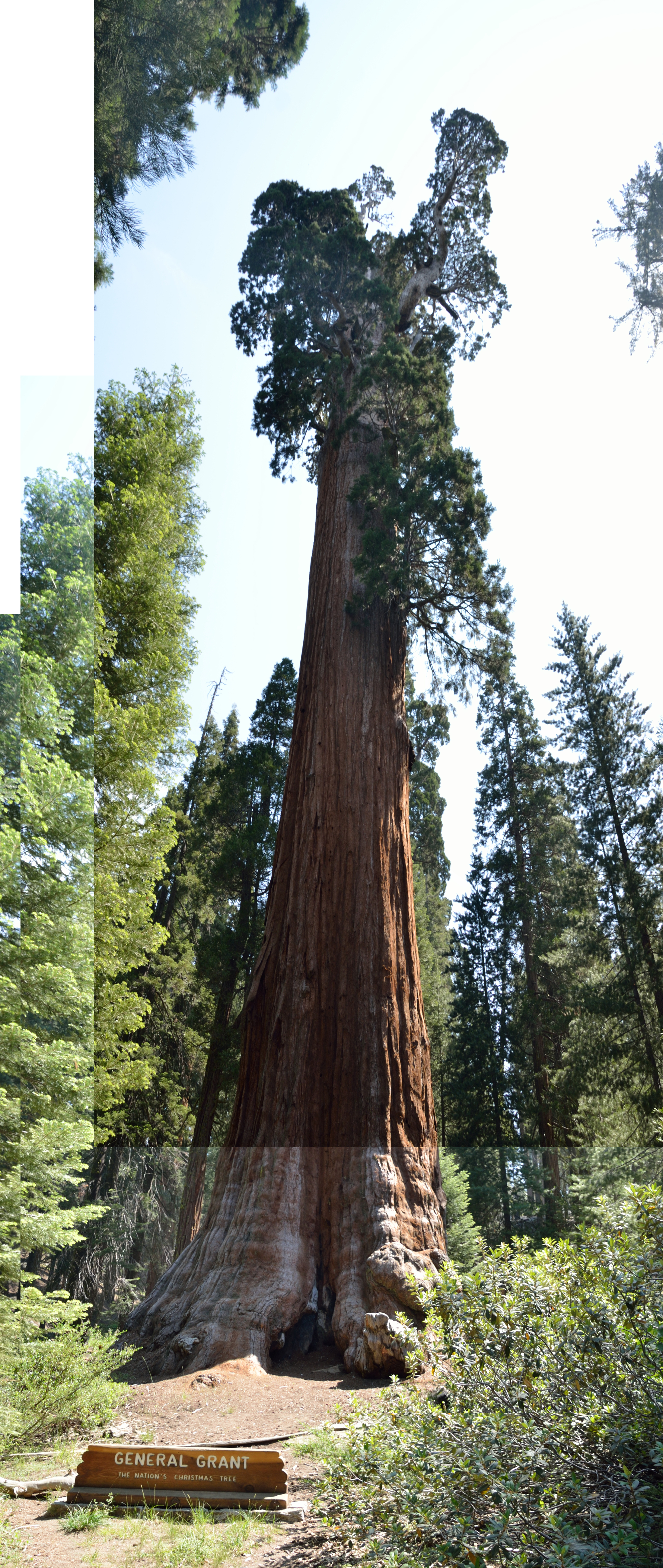 Grant Tree Trail MowryJournal
