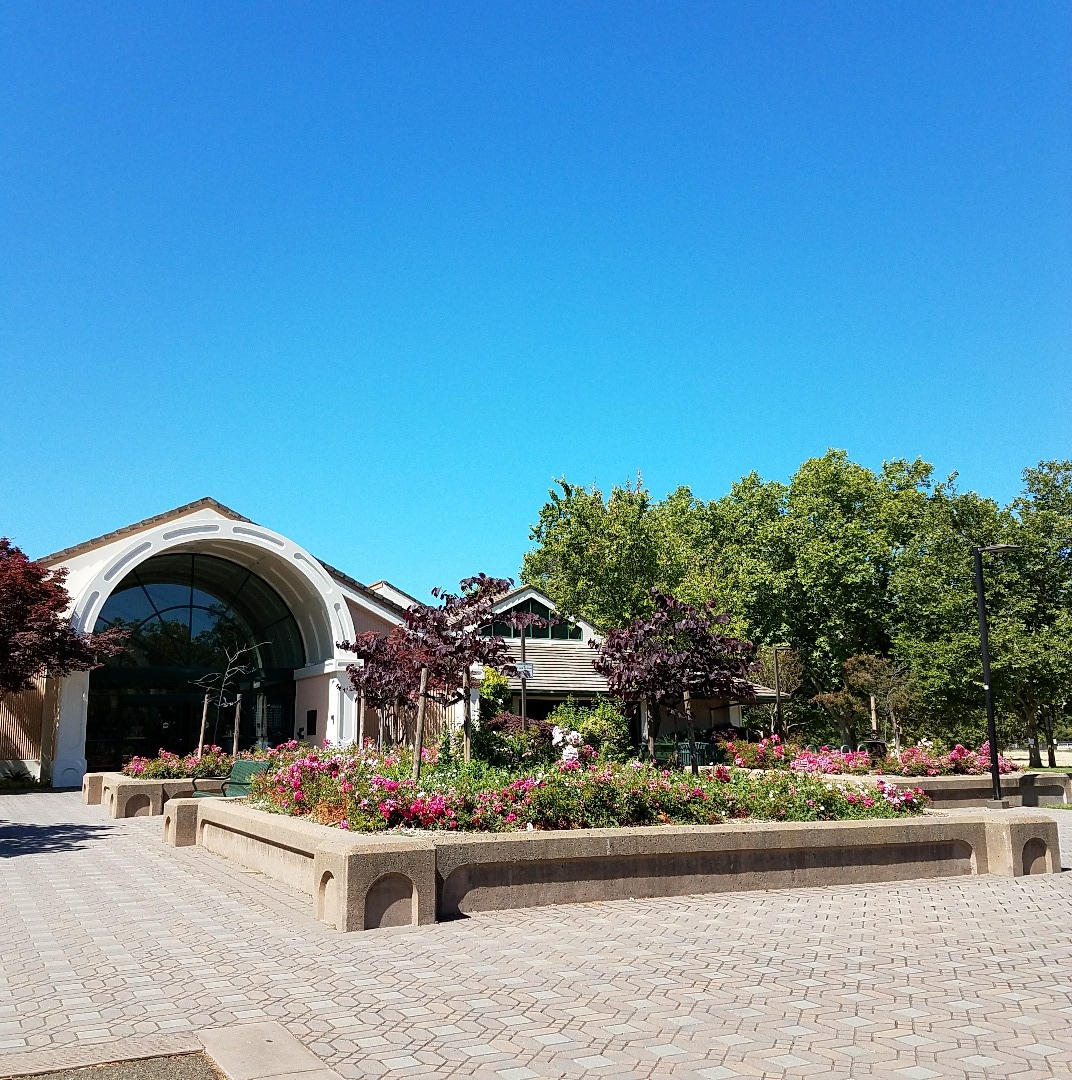 Pleasanton Public Library [Library Tour] Moy Chronicles
