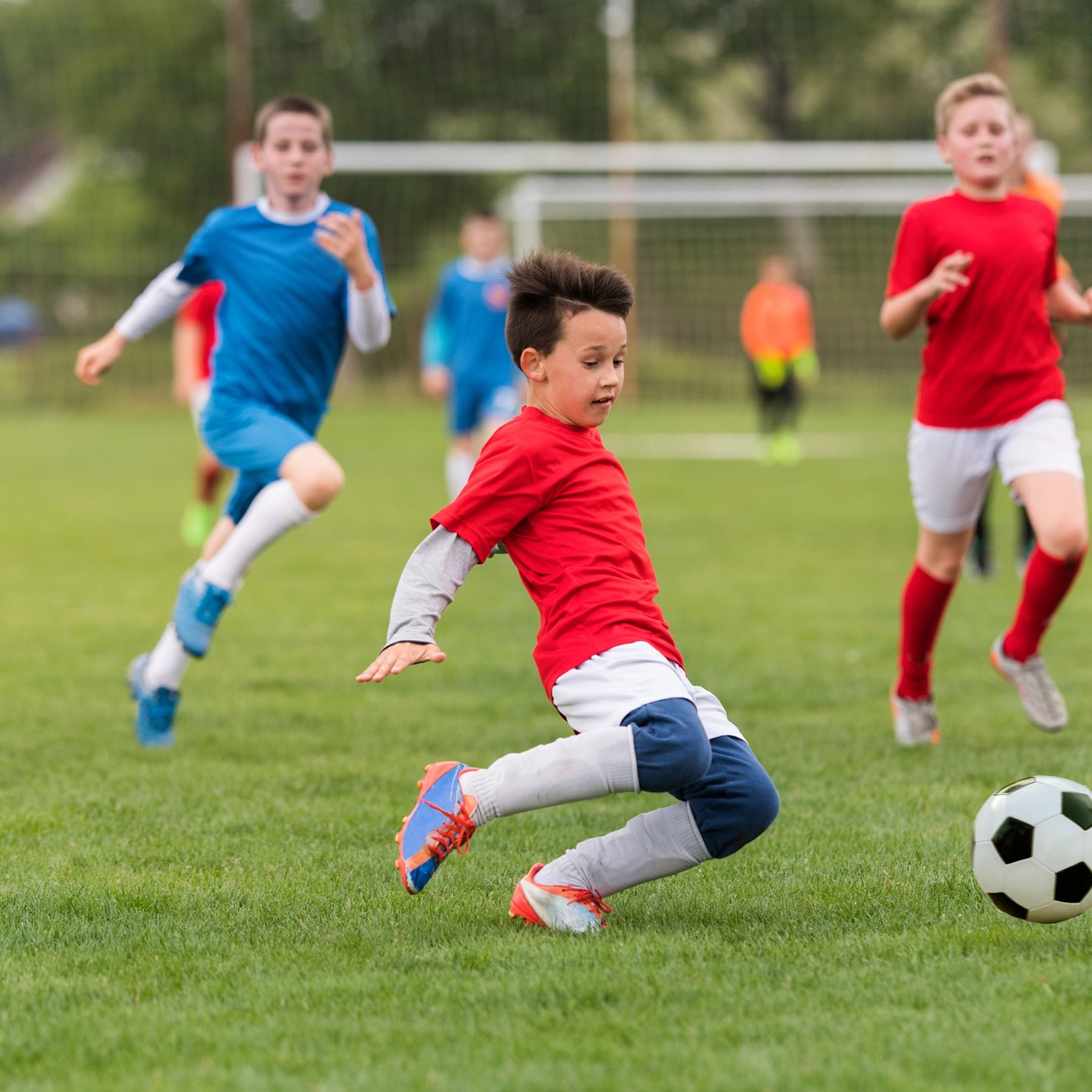 كلام عن كرة القدم