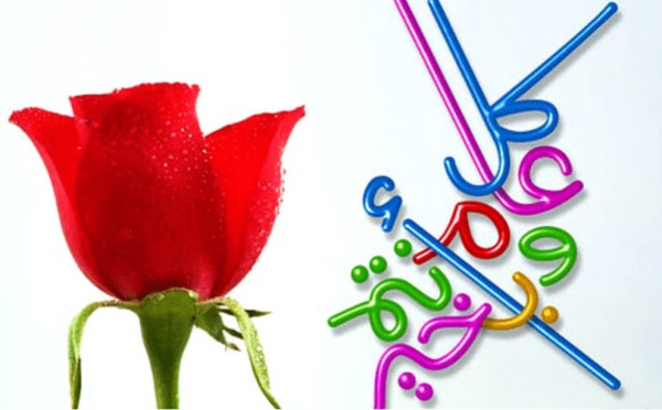 الرد على كل عام وانت بخير