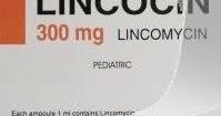 لينكوسين مضاد حيوي Lincocin لعلاج الالتهابات البكتيرية