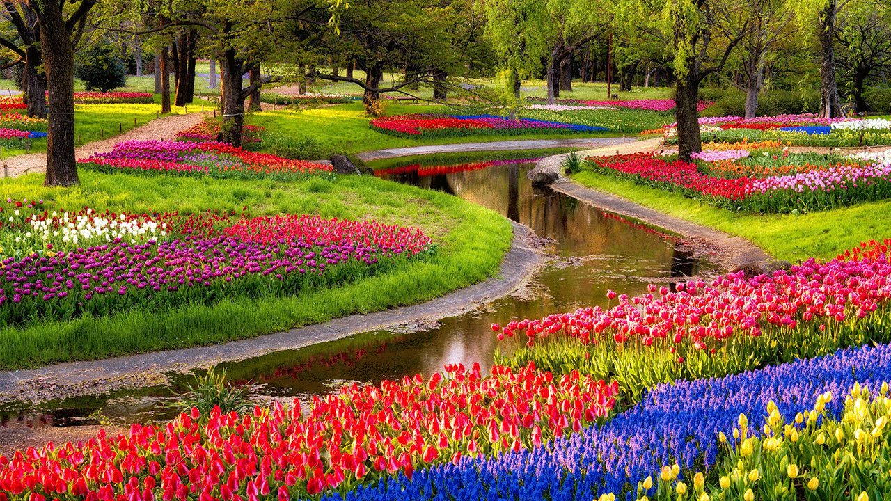 انشاء عن الربيع