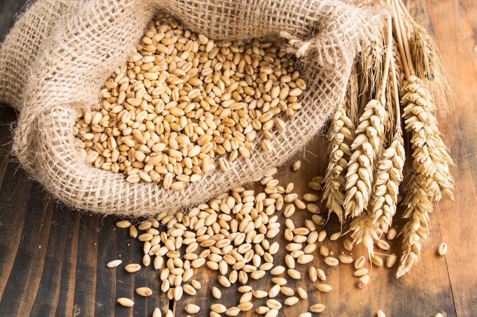 من جربت قهوة الشعير ونحفت