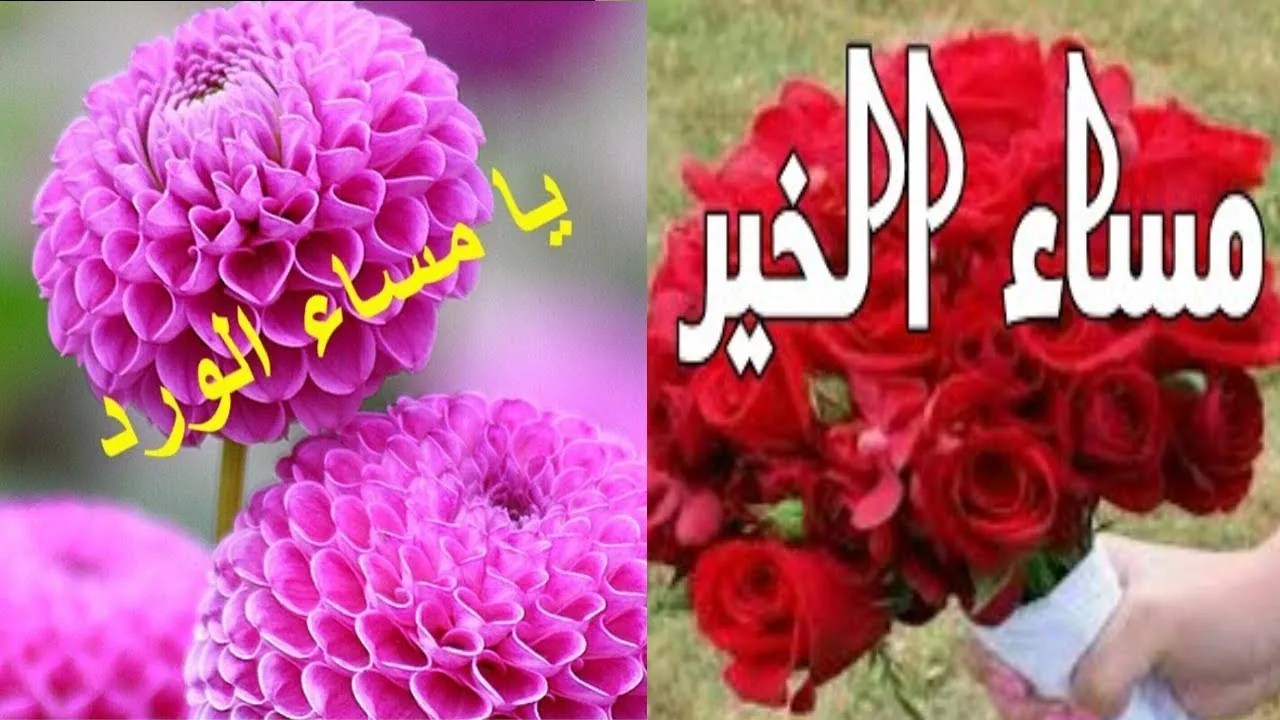 أجمل كلام مساء الخير