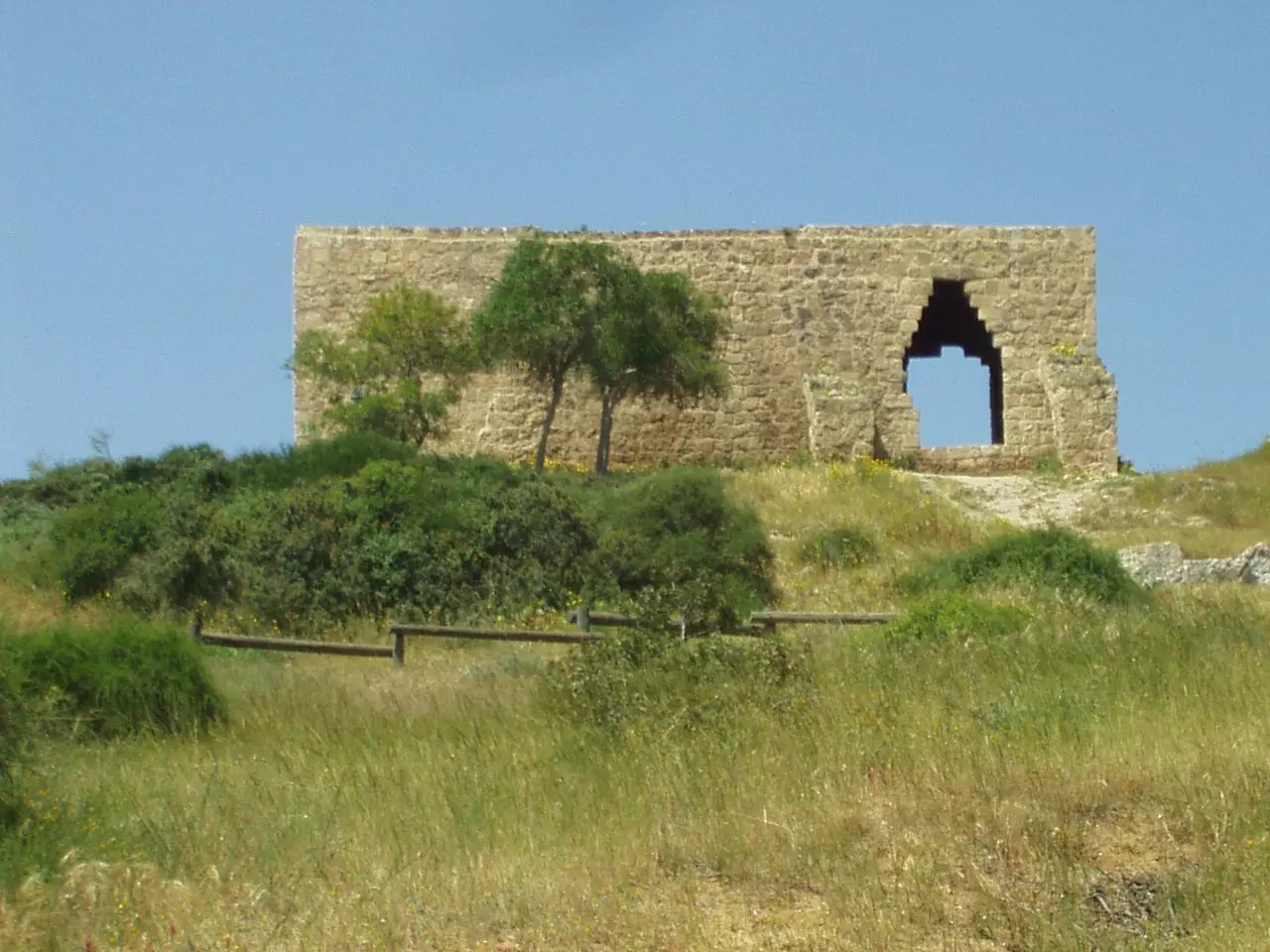 عائلة النفيعي من أي قبيلة كما ذكرنا من قبل أن عائلة النفيعي تنقسم إلى فرعين، وذلك يرجع إلى كثرة أعداد أفراد عائلتها، وتميزها بشجرة عائلة كبيرة. ترجع عائلة النفيعي إلى قبيلة العتيبي، وهي تعد من القبائل الأكثر شهرة في المملكة العربية السعودية منذ مئات السنين. كما تنقسم هذه العائلة إلى فرعين وهما فرع برقا وفرع رق. حيث تنتمي عائلة النفيعي إلى فرع برقا من أبناء ناصر، وهم يمتلكون تاريخ كبير وعريق لما قاموا به من خدمات للبلاد ورفعوا من شأنها.