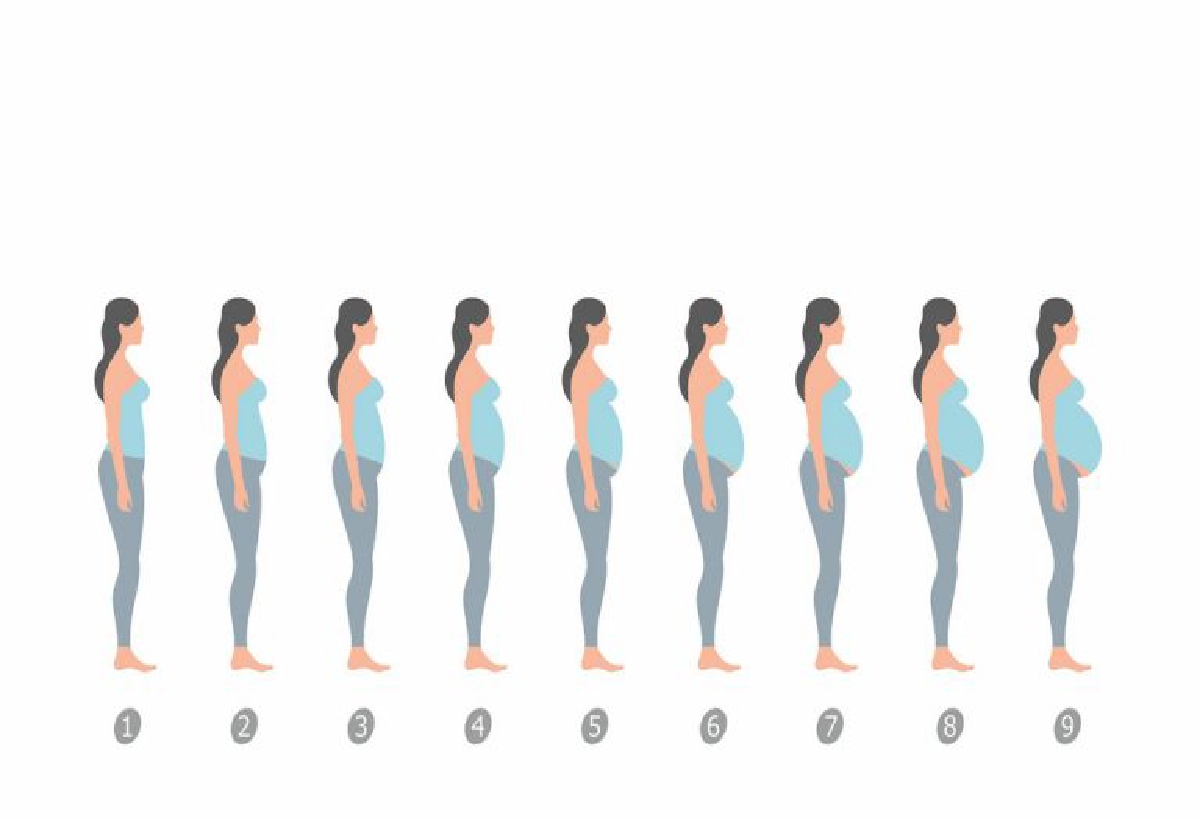 الوقت المتوقع لظهور بطن الحامل