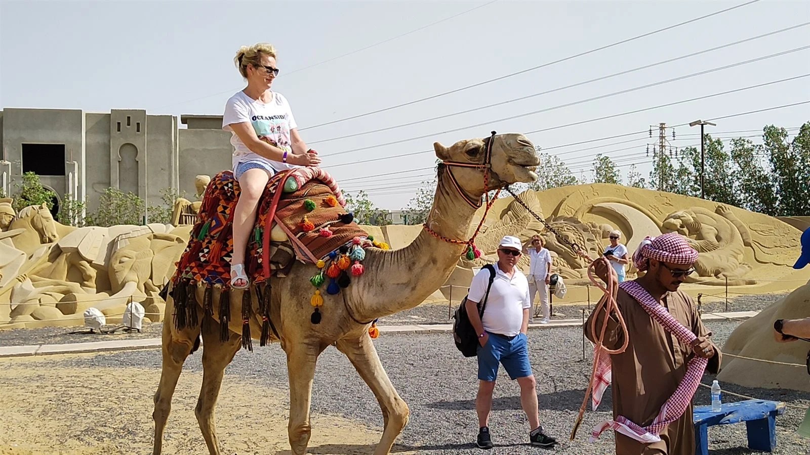 تفسير حلم رؤية ركوب الجمل في المنام