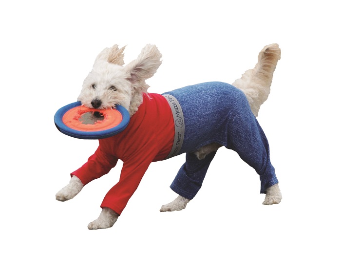 Mozzie Pants Set to Dazzle and Inspire at the New York Pet Fashion Show Mozzie Pants, Pants