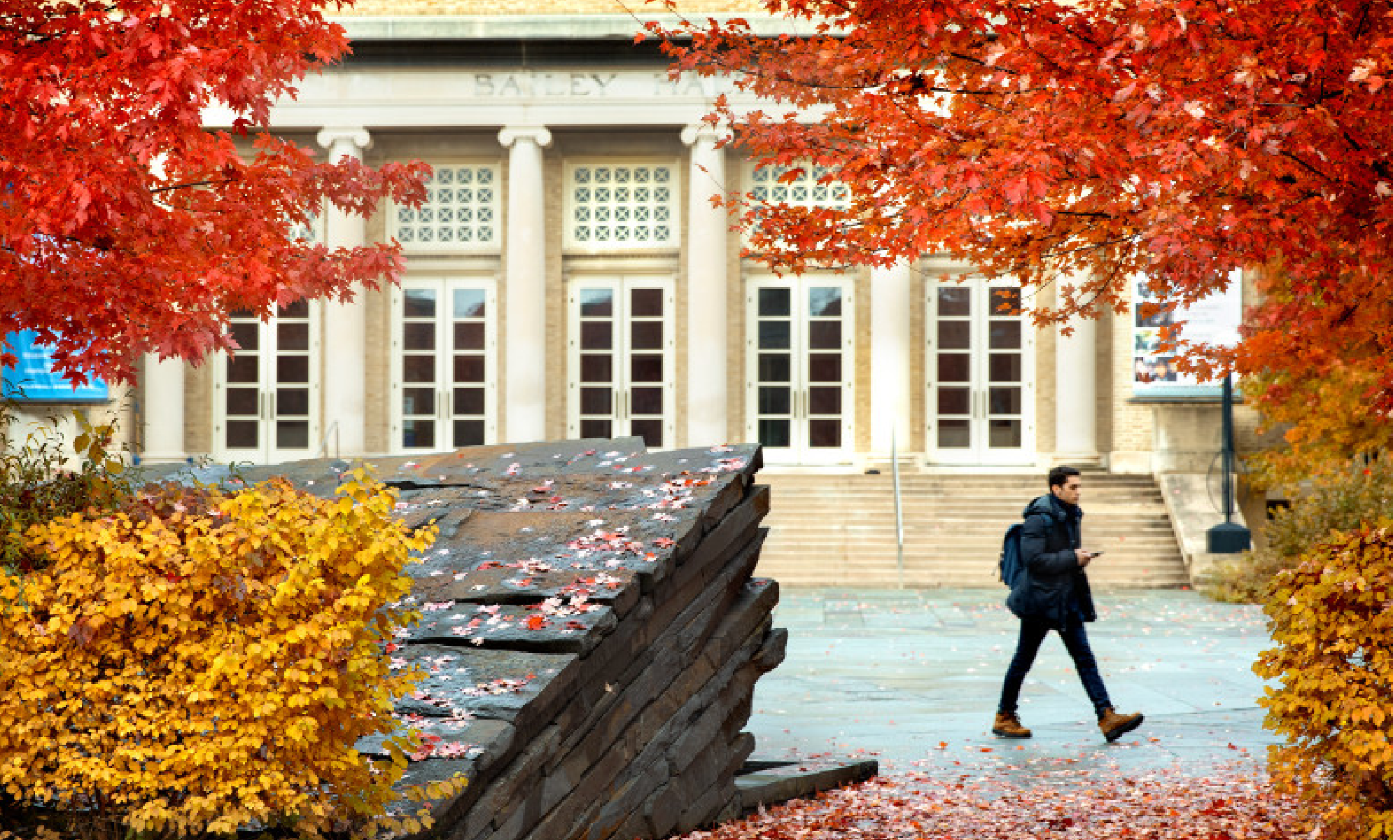 cornell fall 2023 courses Cornell University's Fall MPA Open House 2019