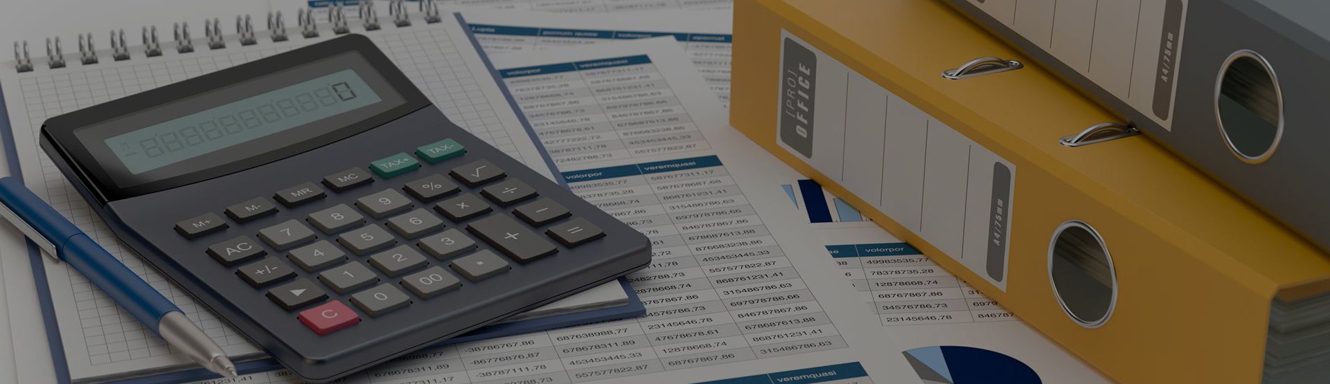 Accounting & Bookkeeping Reliable Tax Services RTAXS, LLC