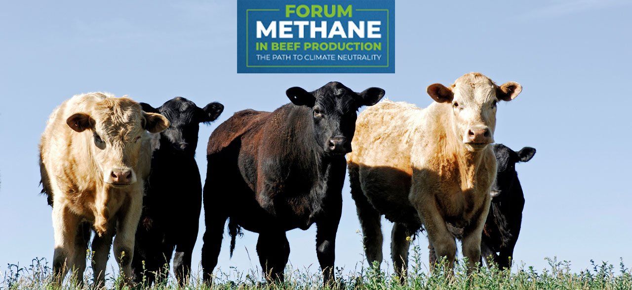 September 29, 2023 Events Miami Fashion Beef cattle chain methane emissions will be the topic of a forum