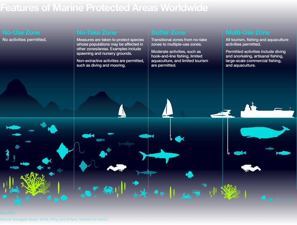 About MPAs | MPA Watch