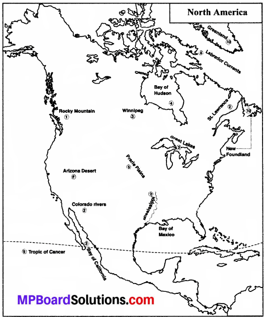 Article On American Map For 8Th Grade MP Board Class 8th Social Science Solutions Chapter 13 North America