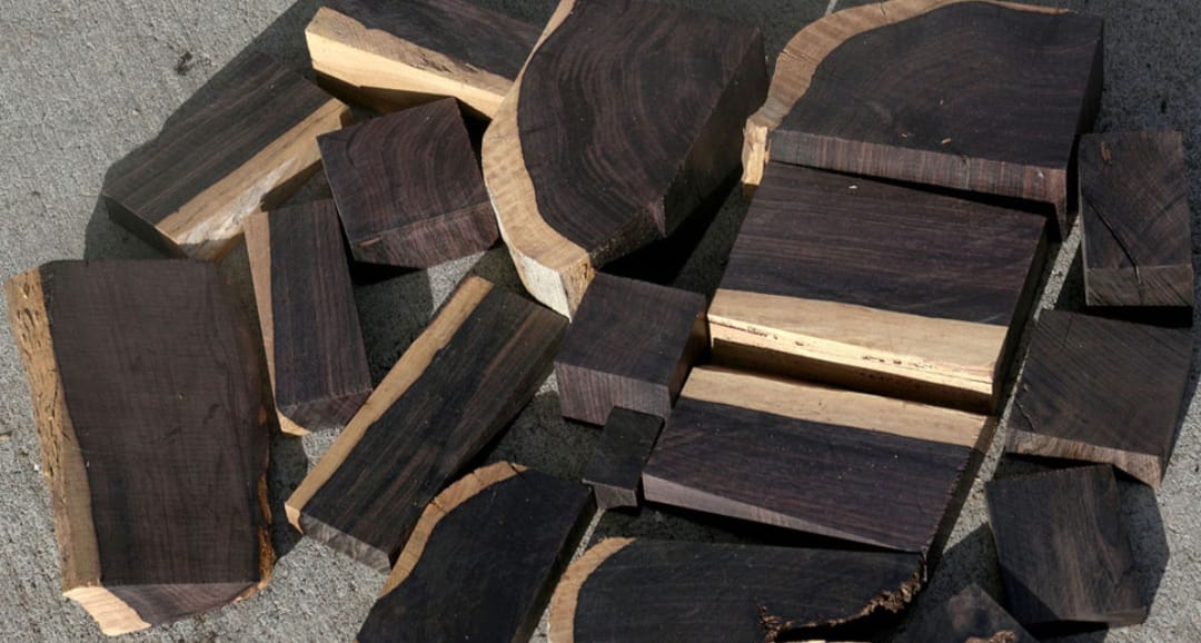 Most Expensive Wood ये है दुनिया की सबसे महंगी लकड़ी, 1 किलो की कीमत