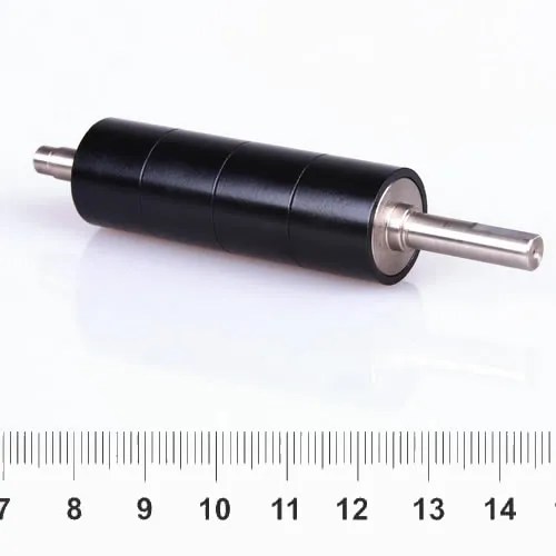 Injection Mould NdFeB Magnet for Rotor