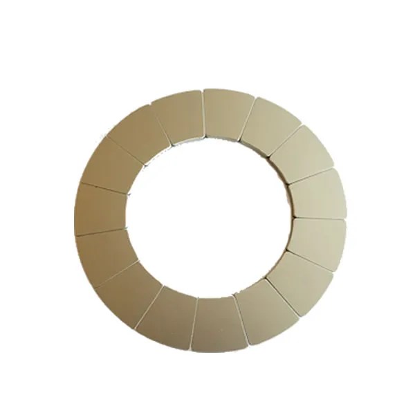 Custom Sintered Neodymium Encoder Magnets for Motors