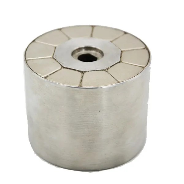 Cylinder Halbach Rotor Neodymium Assembly MPCO
