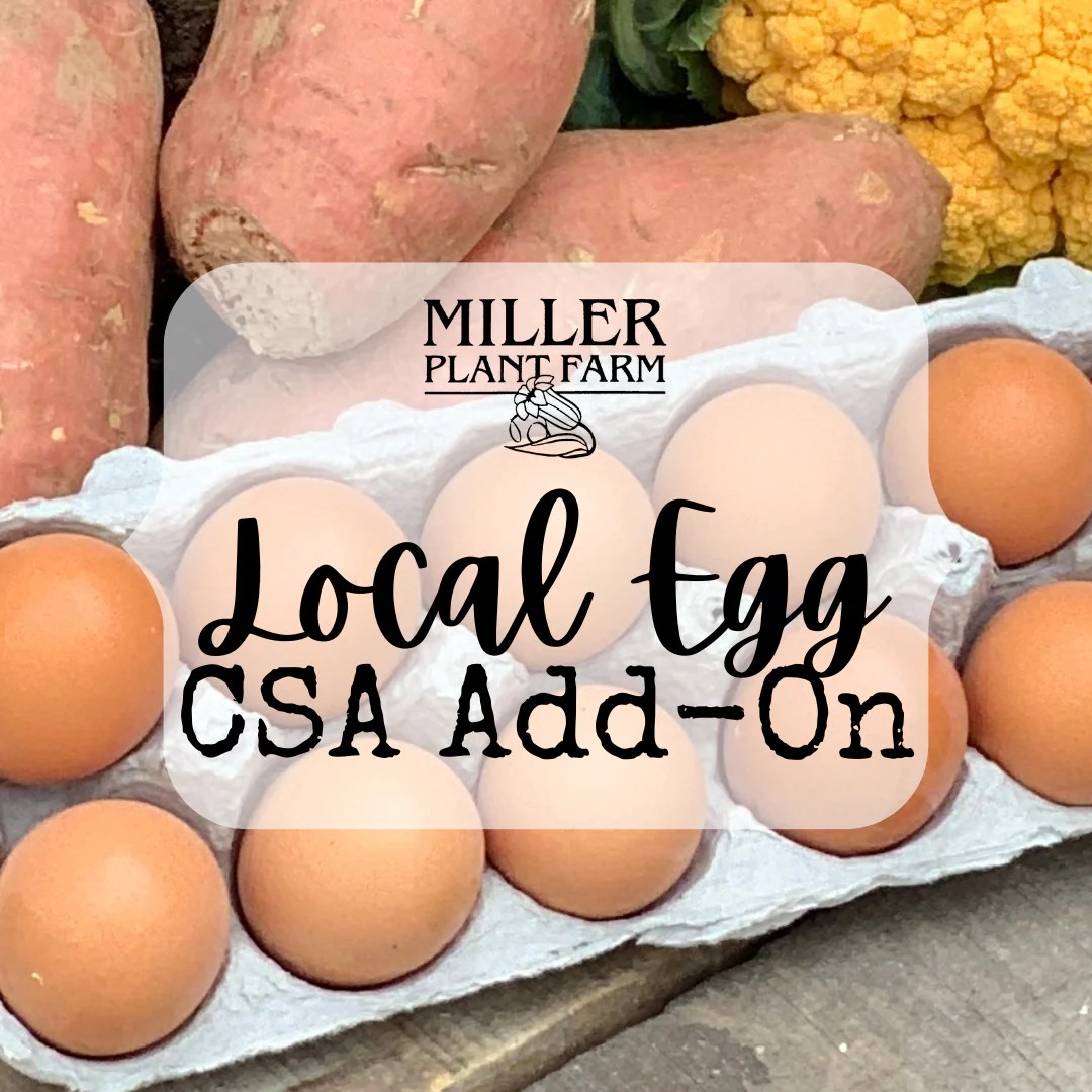 CSA AddOns Miller Plant Farm