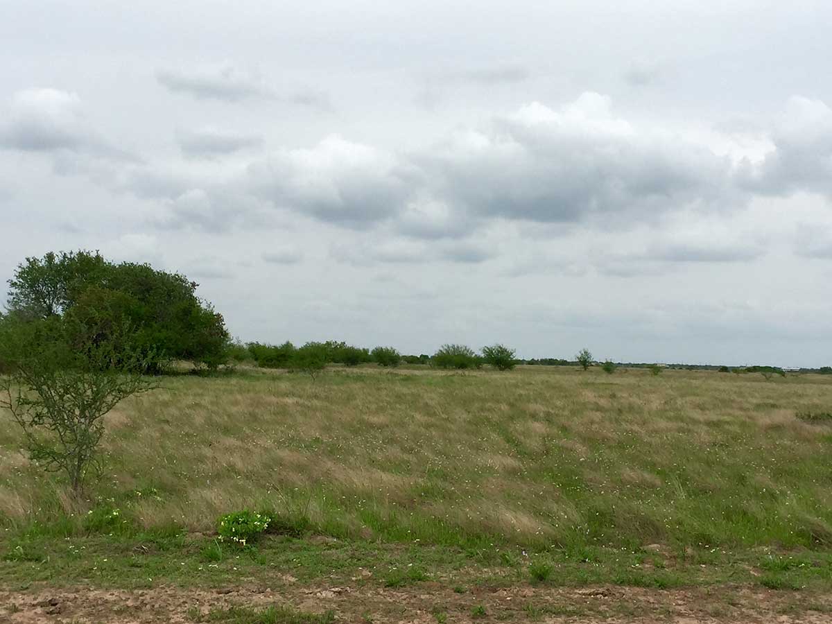 Willow Creek Ranches Phase 2 MPH Capital Management, Inc.