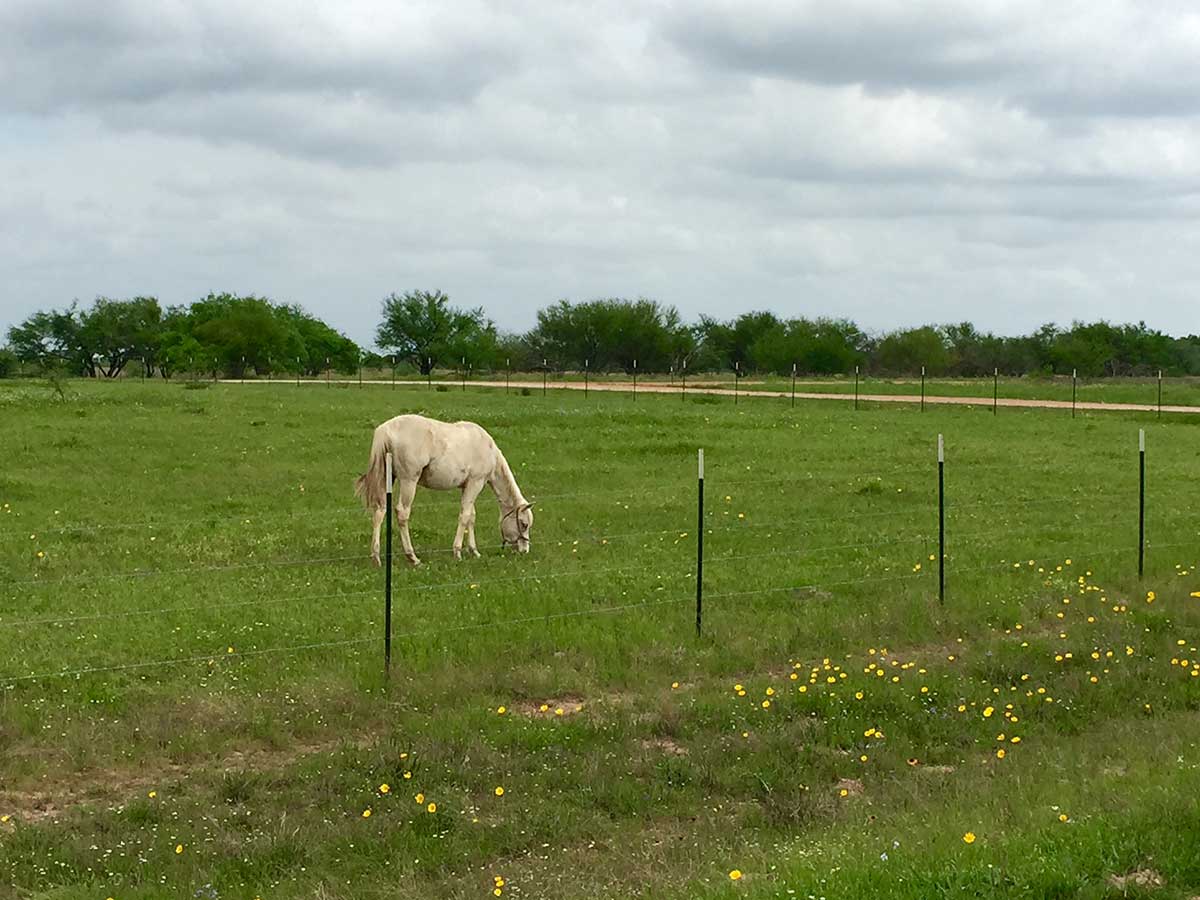 Willow Creek Ranches Phase 2 MPH Capital Management, Inc.