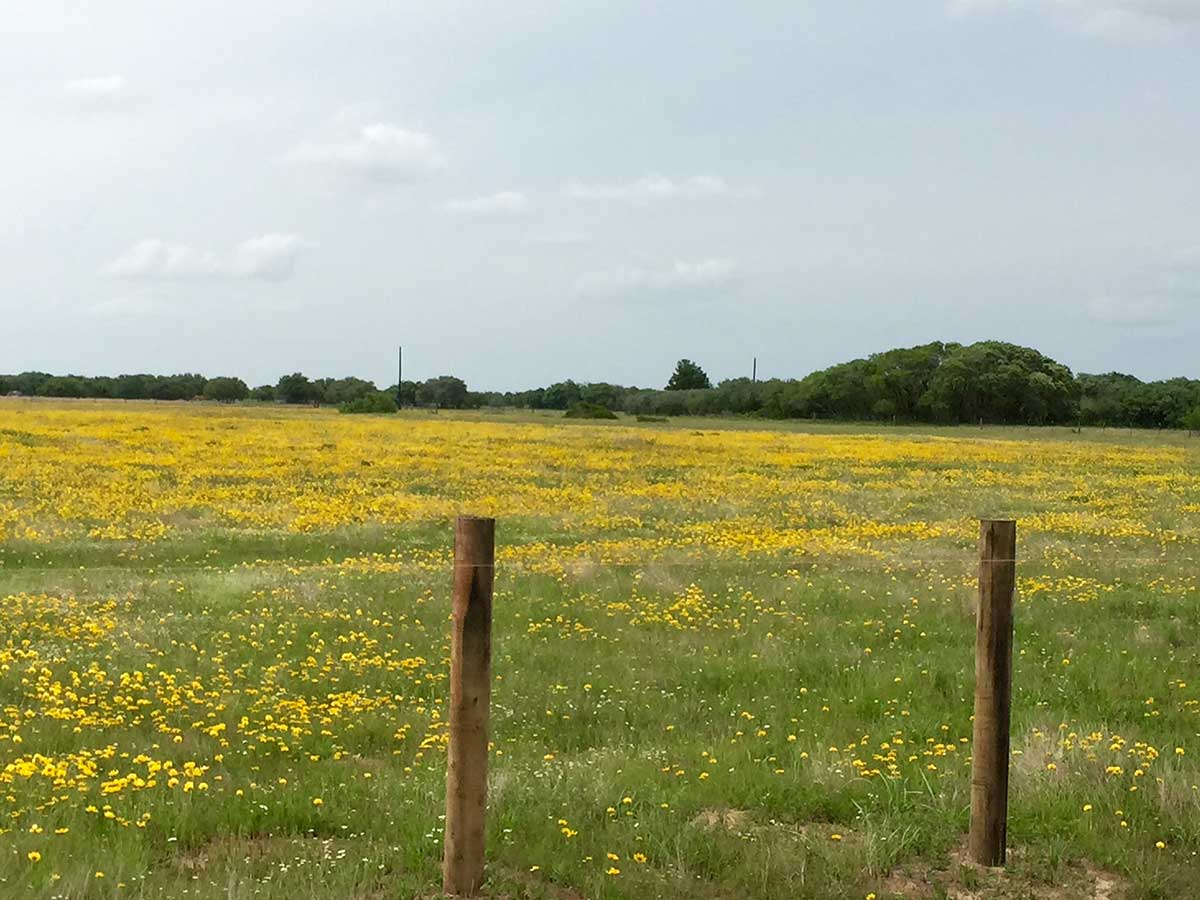 Willow Creek Ranches Phase 2 MPH Capital Management, Inc.