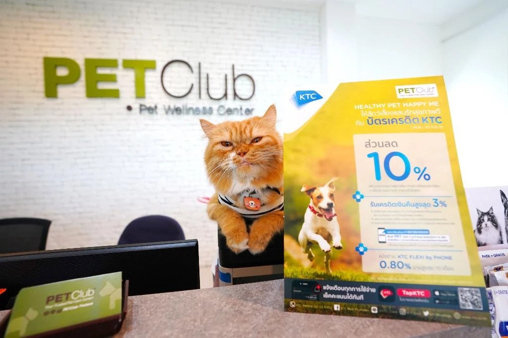 “PET CLUB” สวรรค์สัตว์เลี้ยง จัดเต็มทุกบริการเอาใจดุจเซเลบ