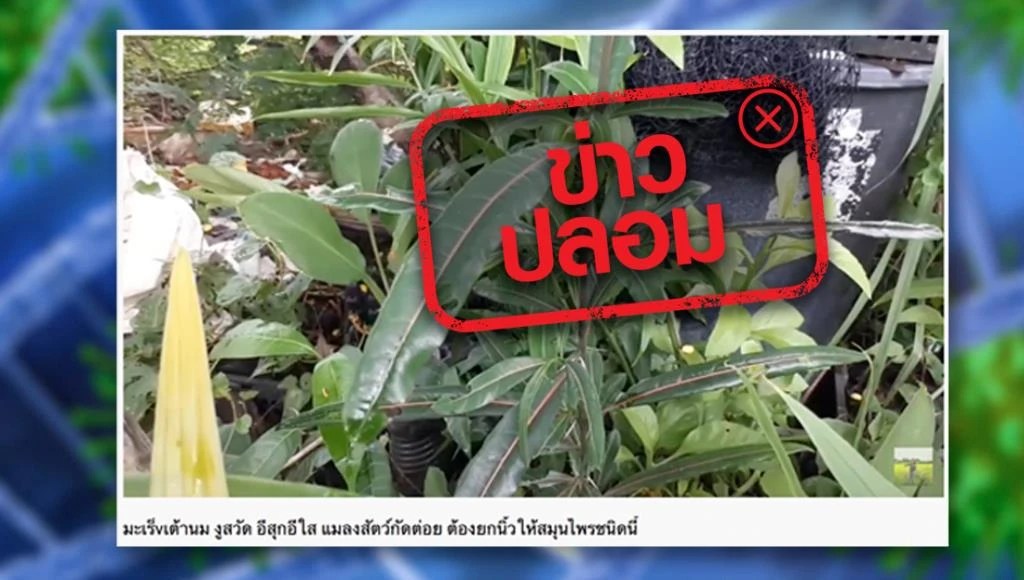 Roblox Broken Bones Iv 1 อกห ก ห กย นกระโหลก Youtube กระด กห กตกจากภ เขาส ง 10 000 เมตร จะรอดหร อไม roblox broken