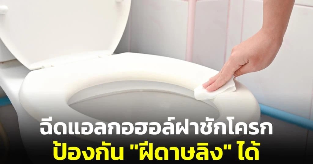 The popular page suggests spraying alcohol on the toilet lid of public