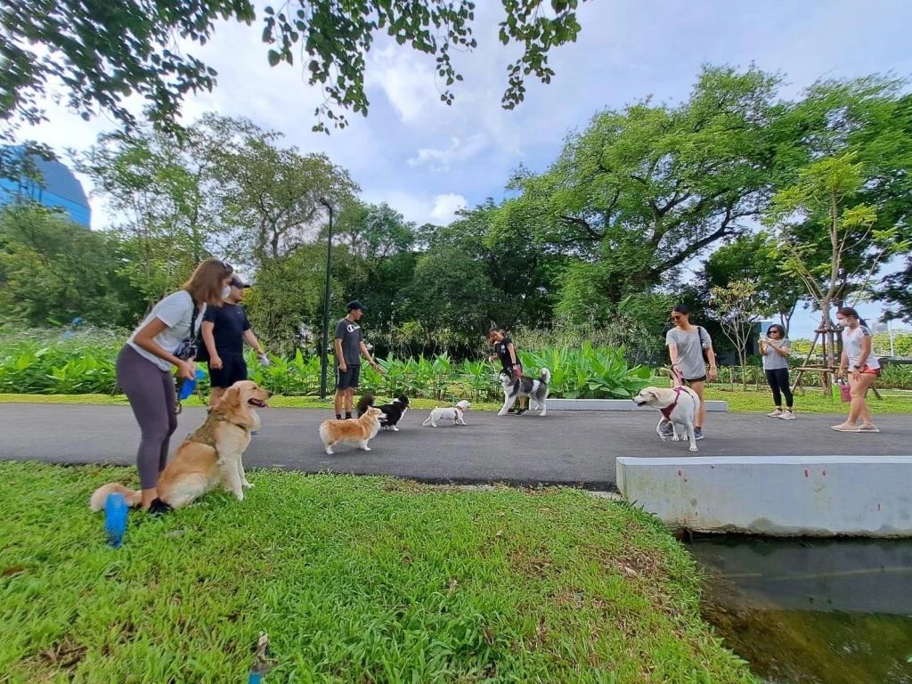 Photo Gallery โฆษกรัฐบาลเผย พื้นที่ “Dog Park” สวนป่าเบญจกิติคึกคัก
