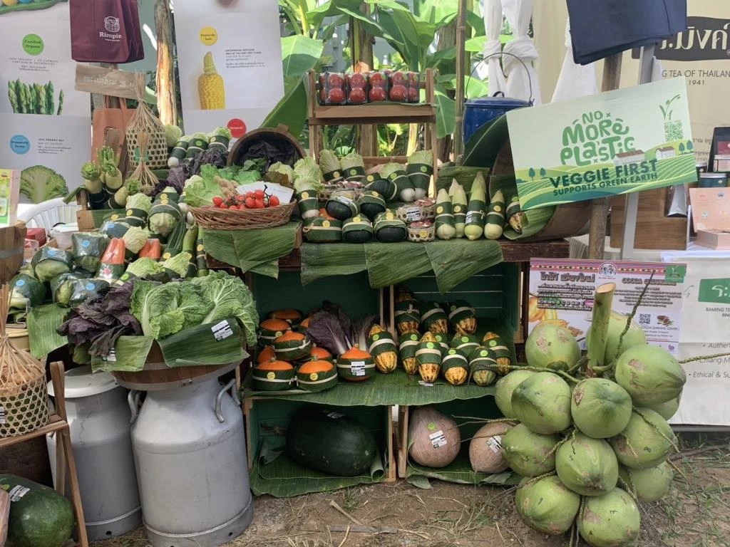 พบ "เชียงใหม่" มีสารตกค้างในเลือดสูงสุด 70 "คะน้า" เจอสารพิษมากสุด