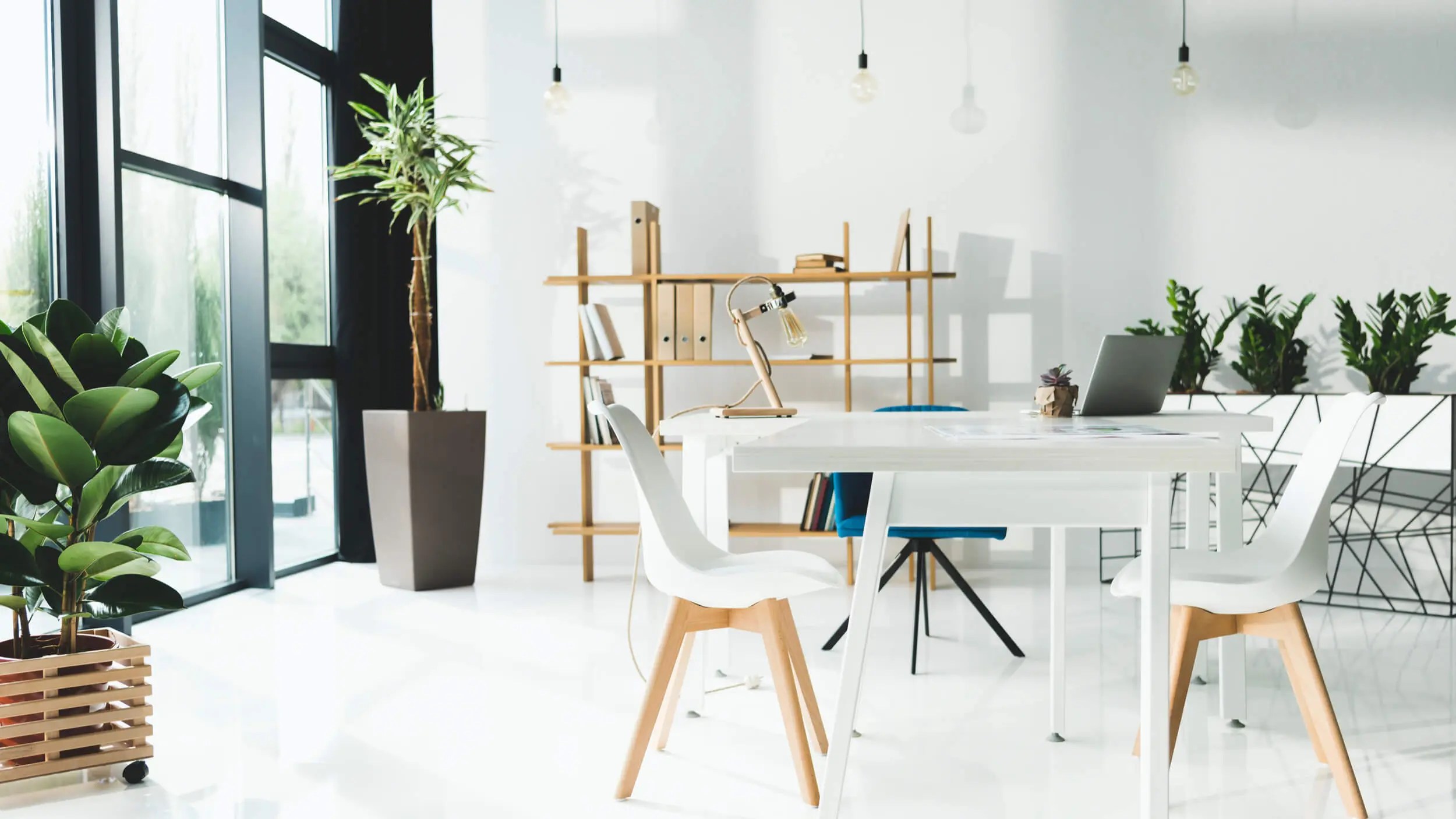 Should You Lease or Buy Office Space? Pros and Cons