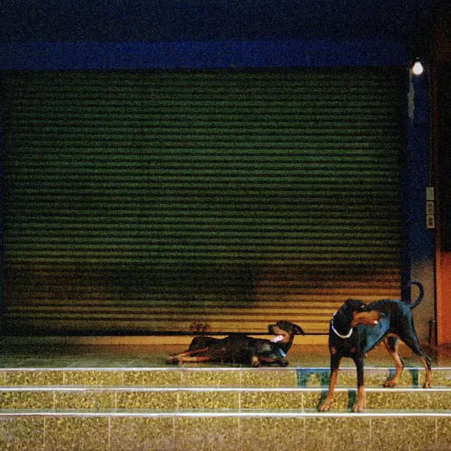 Overmono, John Joseph Holt – Knight In Shining Prada