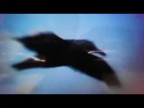 Click to play YouTube video