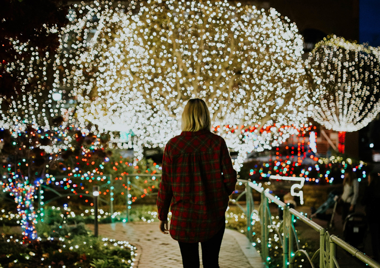 Outdoor Lighting MPM Landscaping