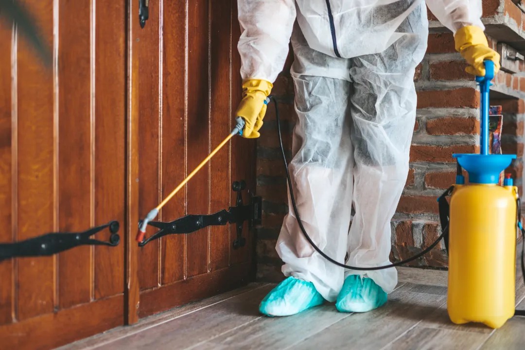 Pest Control Windsor Murphy’s Pest Management