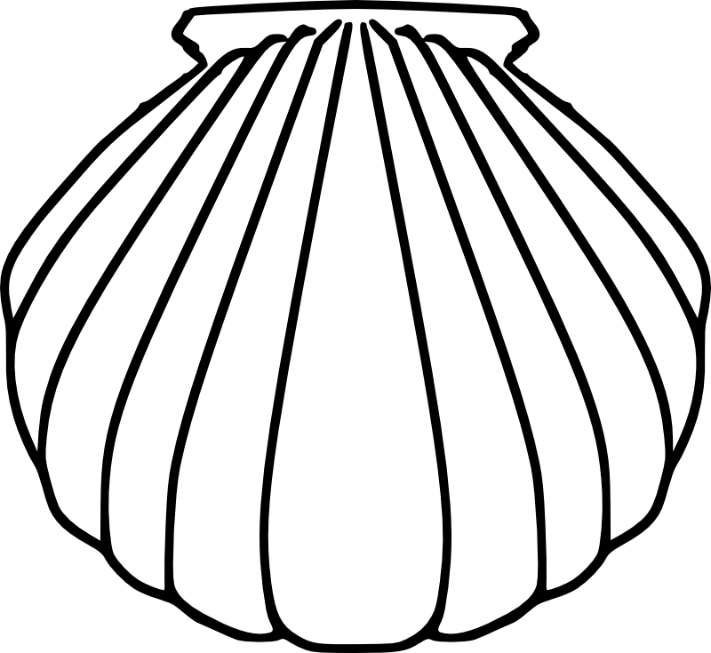 Shell Stencil Printable