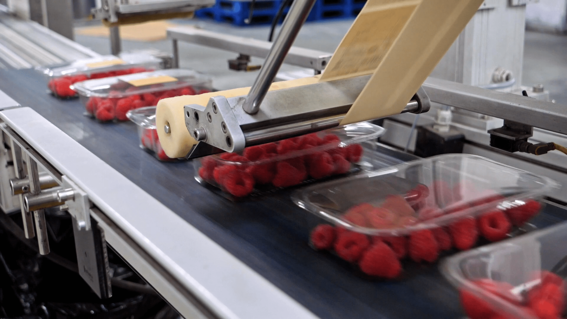 Using Modified Atmosphere Packaging to Improve the Quality of Fresh