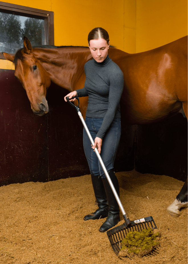 How to Improve Air Quality in Your Ohio Custom Horse Barn MQS
