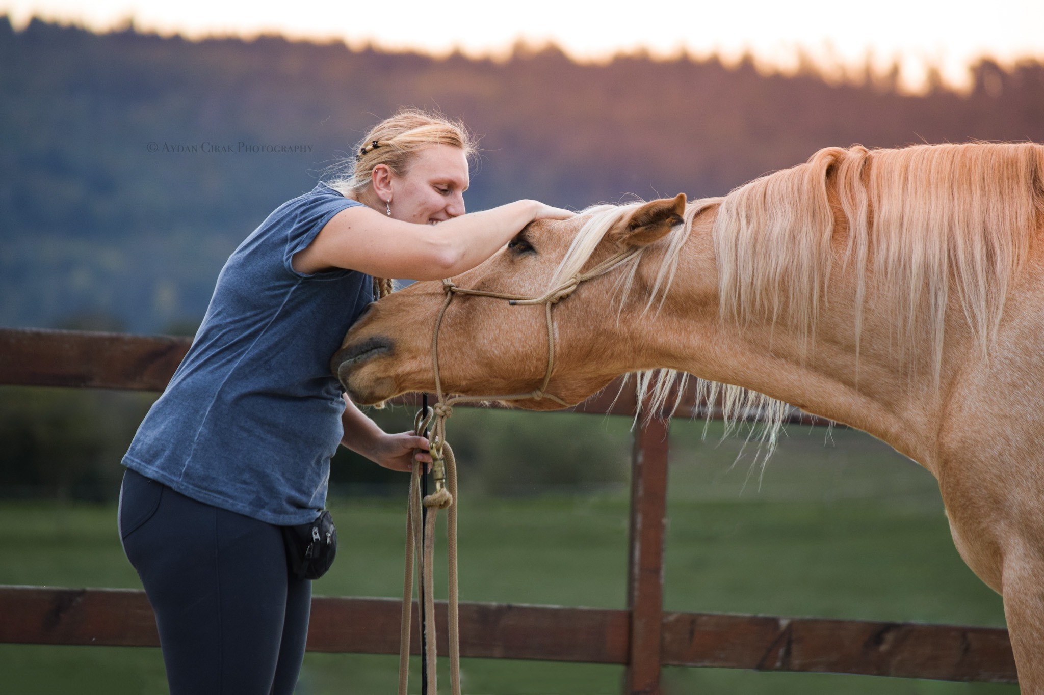 Natural Horsemanship Für eine harmonische Beziehung zu Deinem Pferd