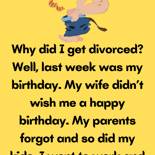 Why did I get divorced MrJokes(08)