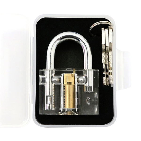 LOCKSMITH’S CHALLENGE Transparent Wafer tumbler lock Mr.sci science