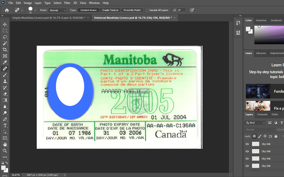 Manitoba Canada Driver License PSD Template Free Download Mr. Verify