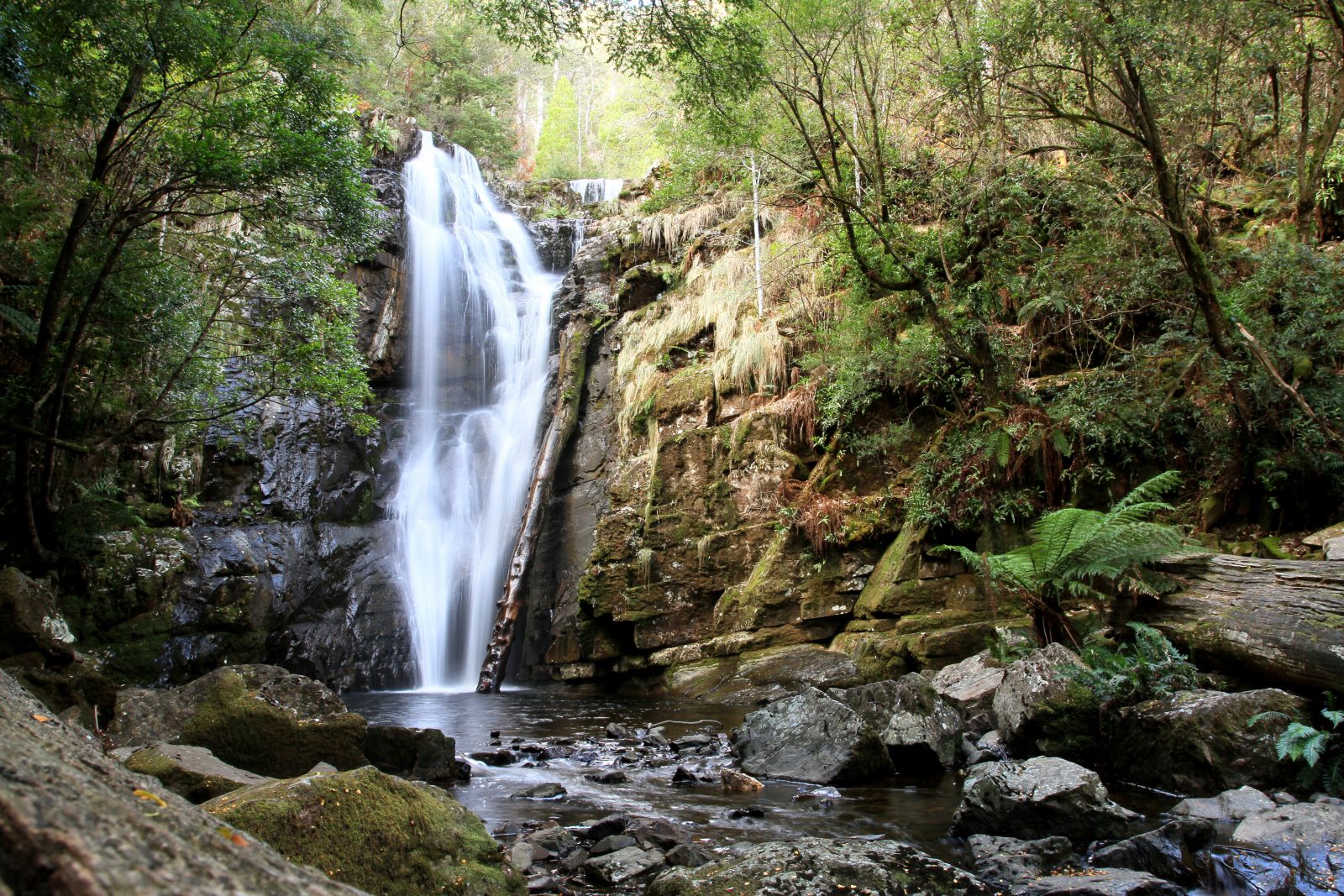 Tasmania SNUG FALLS Pat Callinan's 4X4 Adventures