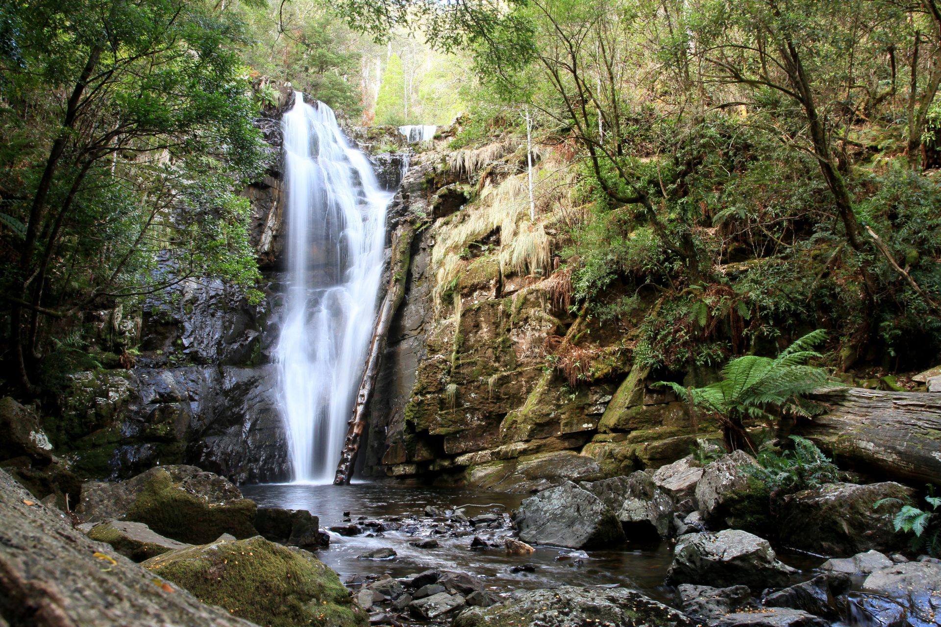 Tasmania SNUG FALLS Pat Callinan's 4X4 Adventures