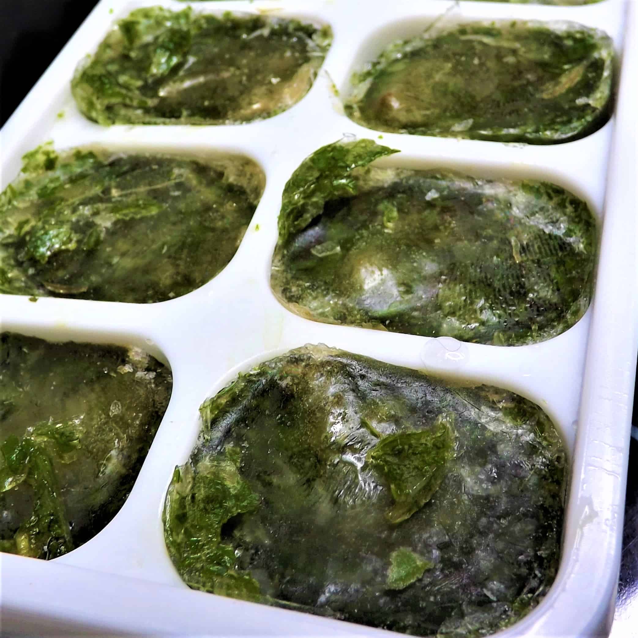Can You Freeze Mint Leaves? Mranimal Farm