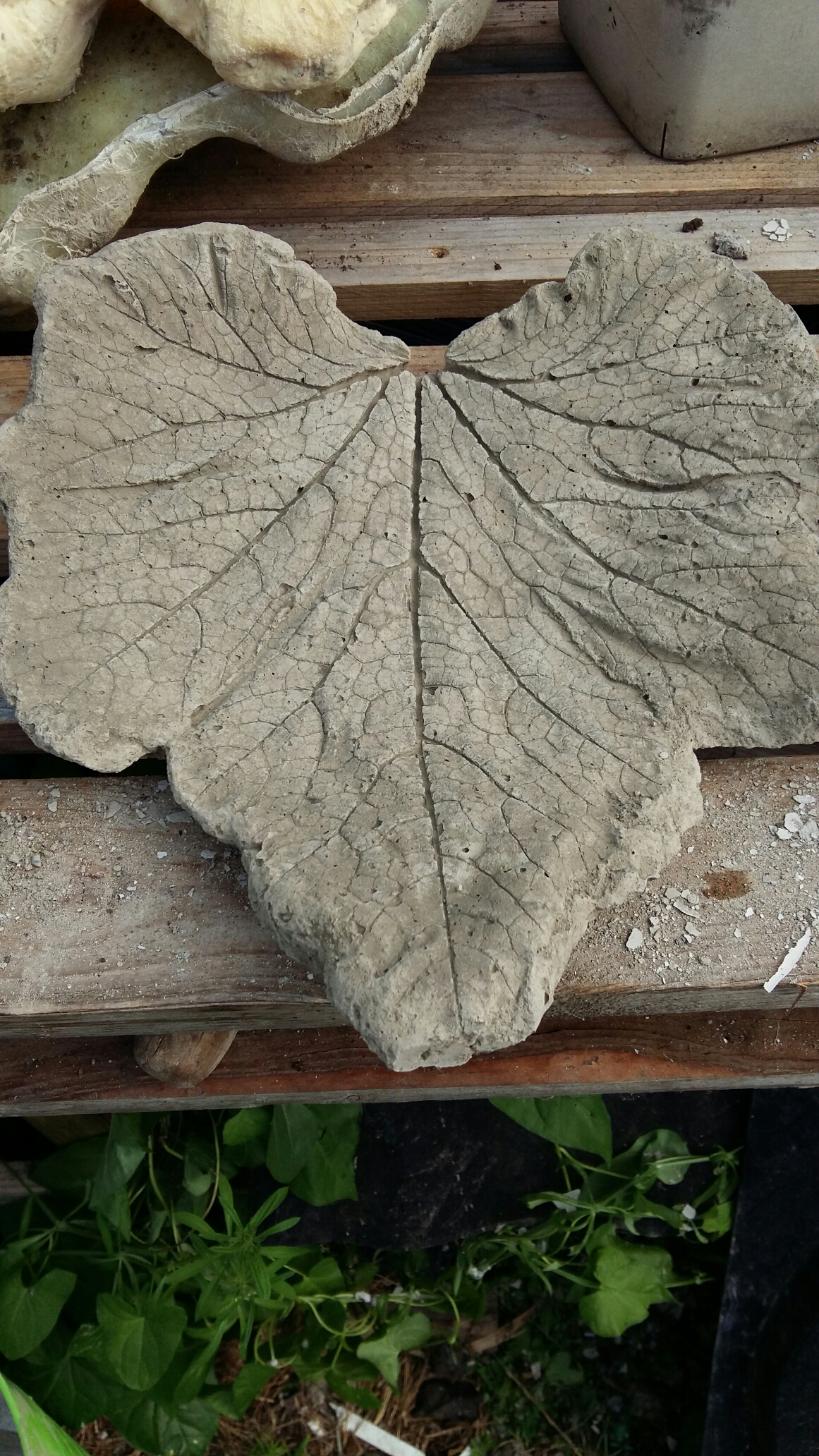 Concrete leaves mrbobsconcretecreations